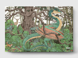 PRE ORDER: Dragons of the Forest