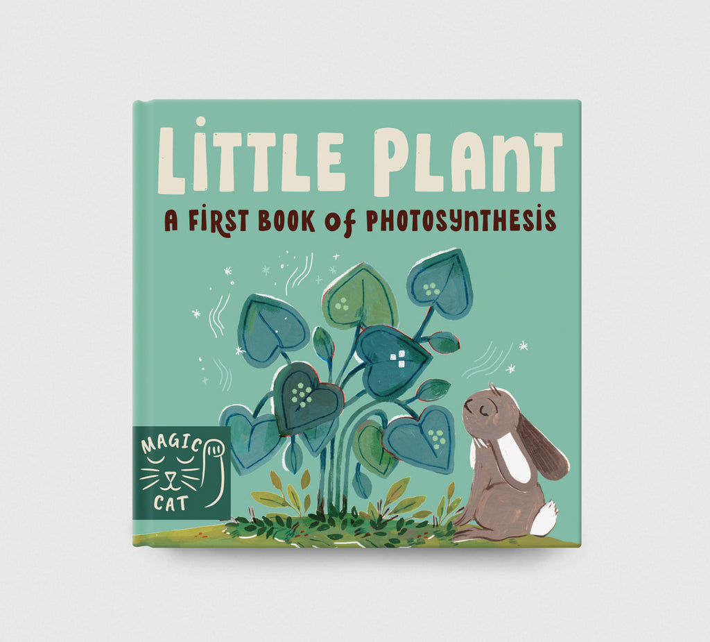 5 Minute Nature Story Box – Magic Cat Publishing