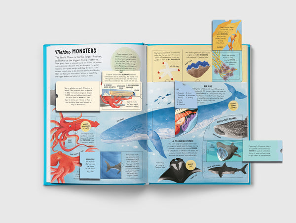 Lift-the-flap Encyclopaedia of Oceans